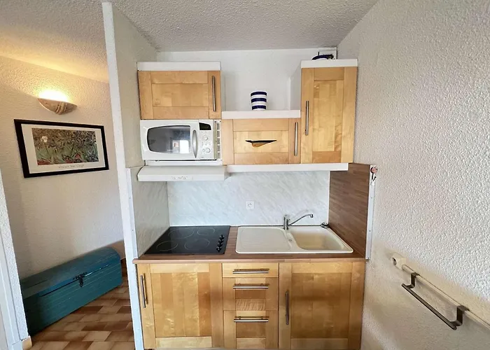 Avec Piscine, Parking, Lave-linge, Quartier Calme A Cap D'agde - Fr-1-702-39 * 아그